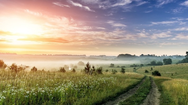 Описание изображения