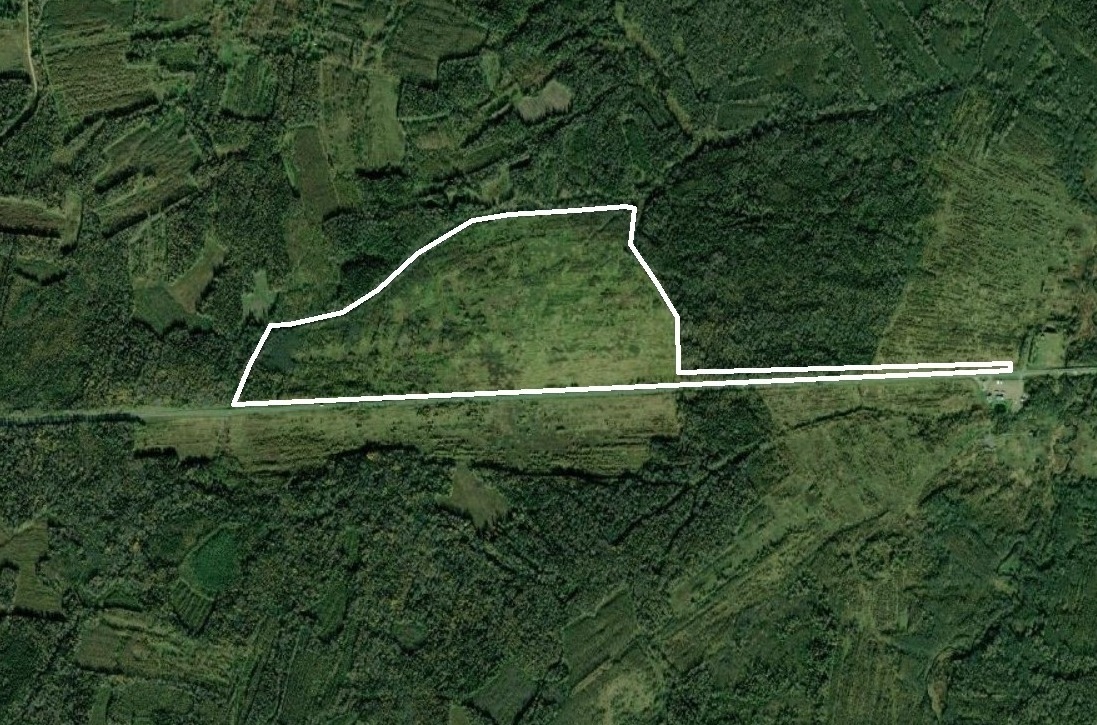 Участок - 96 га 1950 000 ₽ Участок № 1 примыкающий к Новорижскому шоссе