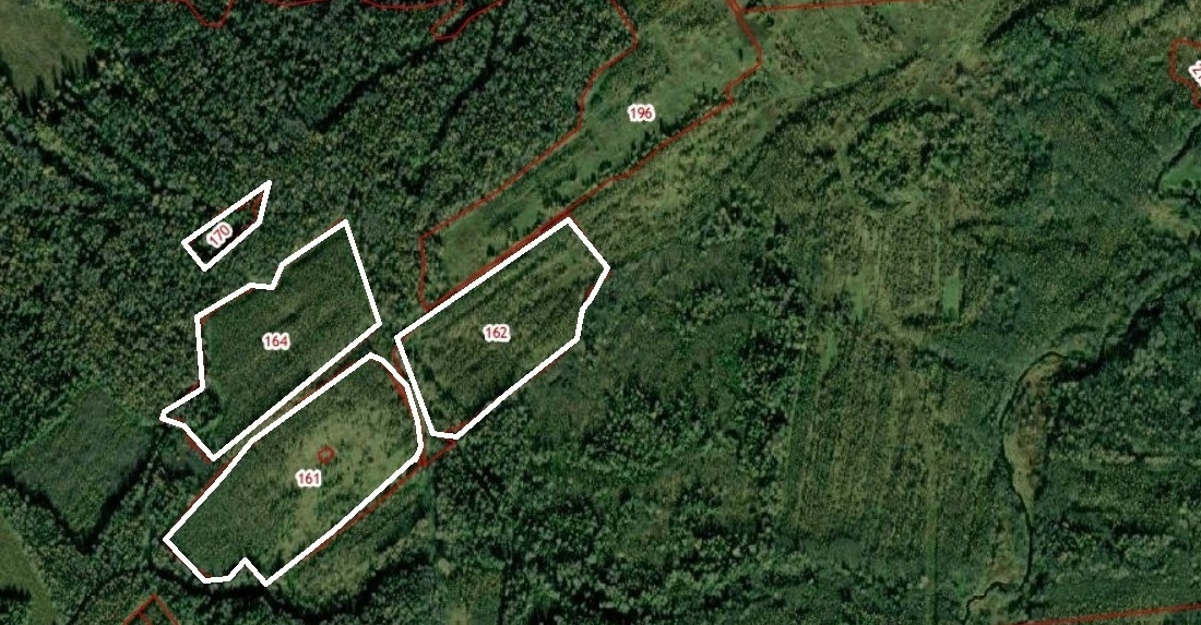 Участок - 130,3 га 900 000 ₽ Участок № 8 рядом с Новорижским шоссе