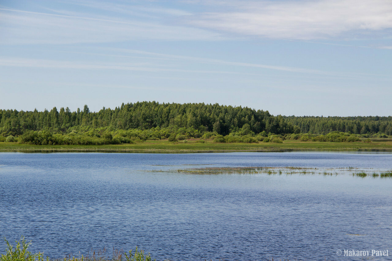 Небольшие участки для фермы или усадьбы в Тверской области небольшие сельхозучастки возле водохранилища Тверская область