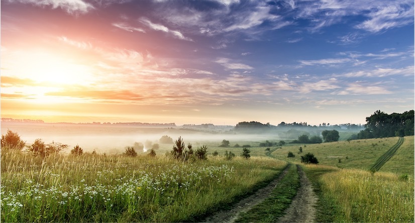 земельные участки в Тверской области — сельскохозяйственные поля